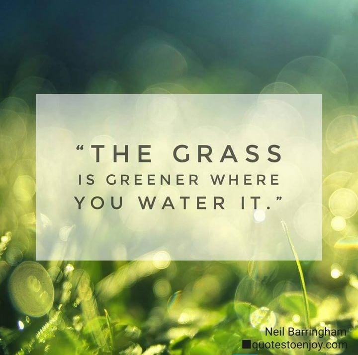 What Are You Watering?